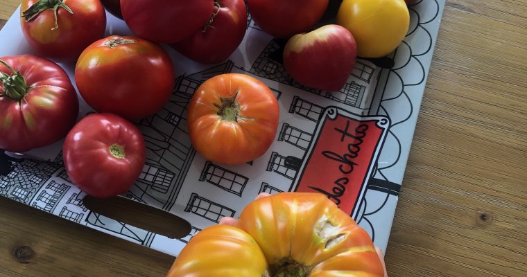 Que faire avec les tomates du jardin?  Des recettes originales!