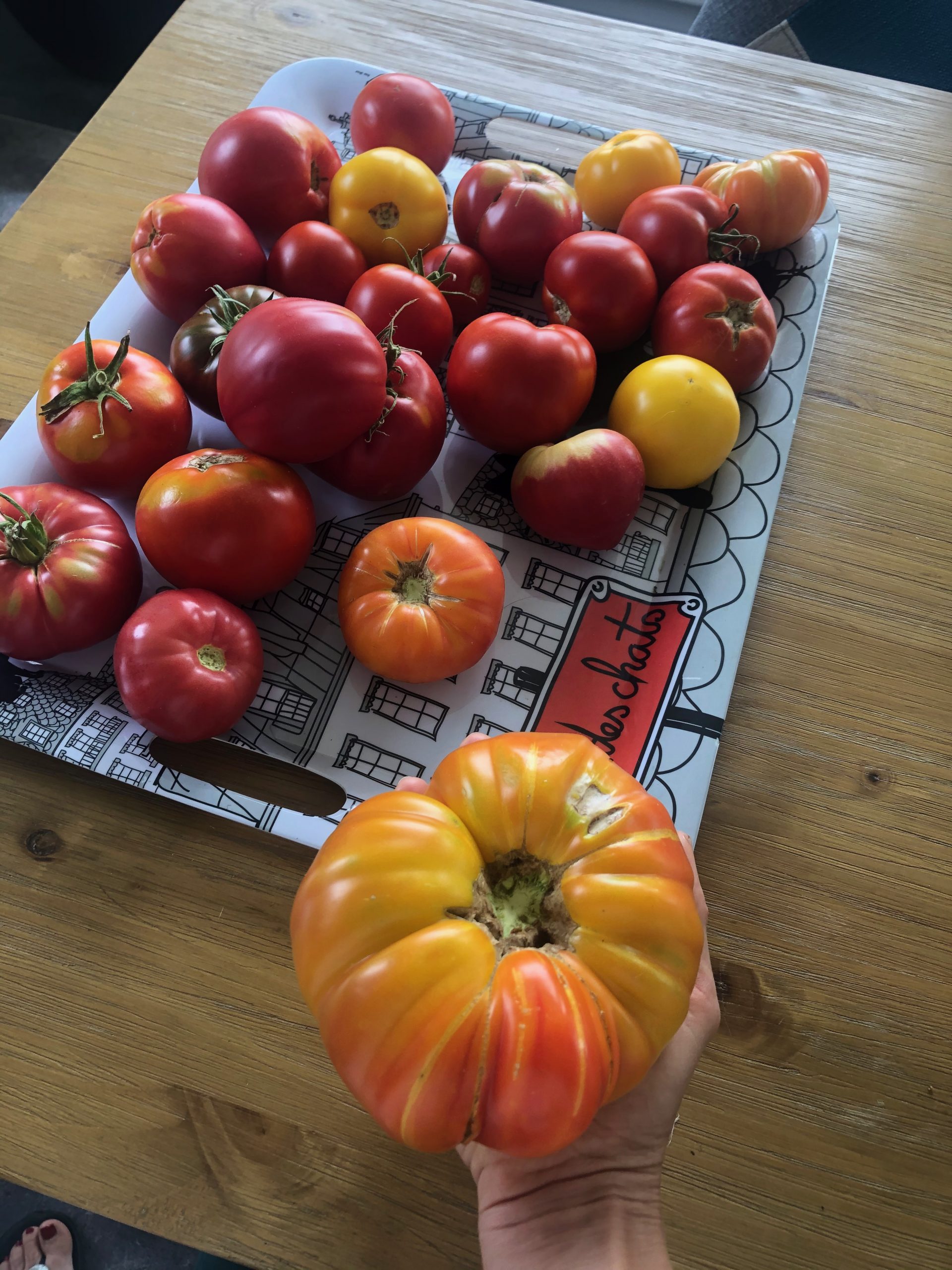 Que faire avec les tomates du jardin? Des recettes originales!
