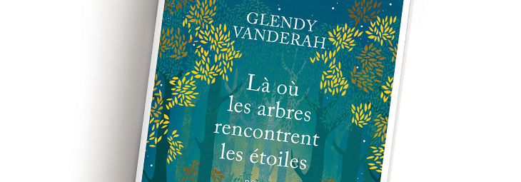 Mon conseil roman pour l’été: « Là où les arbres rencontrent les étoiles » de Glendy Vanderah.