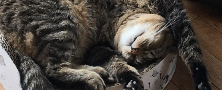 S’endormir facilement…mes solutions!